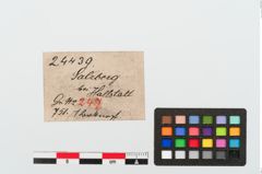Etiketten zu Bronzehelmniet (NHMW-PRAE-024439)
